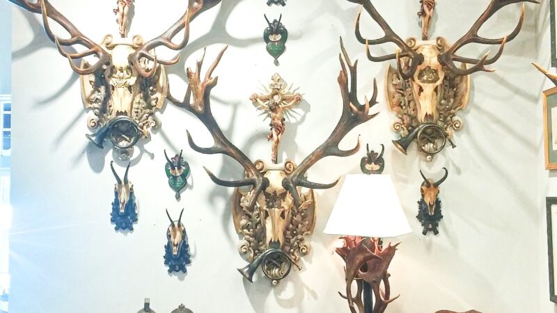 antler art display installation