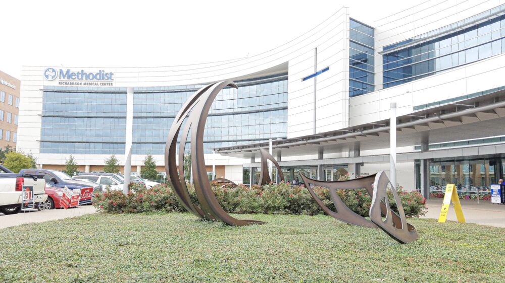 Large Outdoor Sculpture Installation at Hospital